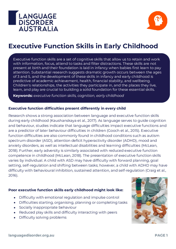 Executive Function Skills in Early Childhood